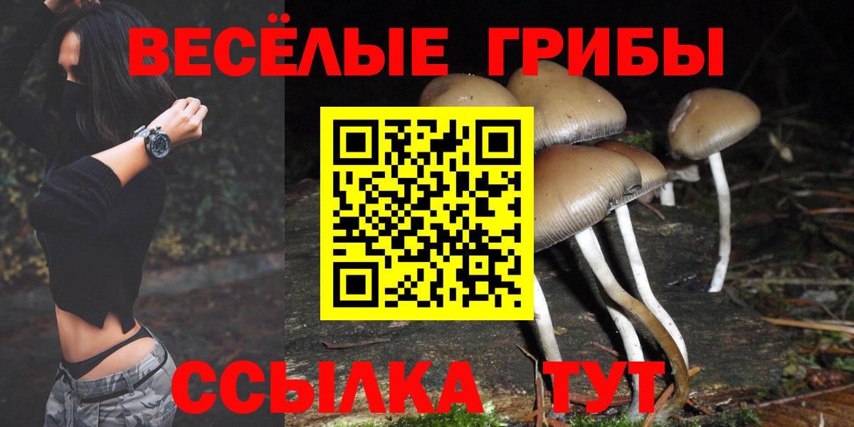 Евпатория  где купить наркотик  Вход с VPN  Псилоцибиновые грибы MAGIC MUSHROOMS 