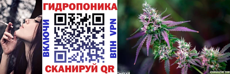 где найти наркотики  Евпатория  OMG ССЫЛКА  Шишки марихуана план 